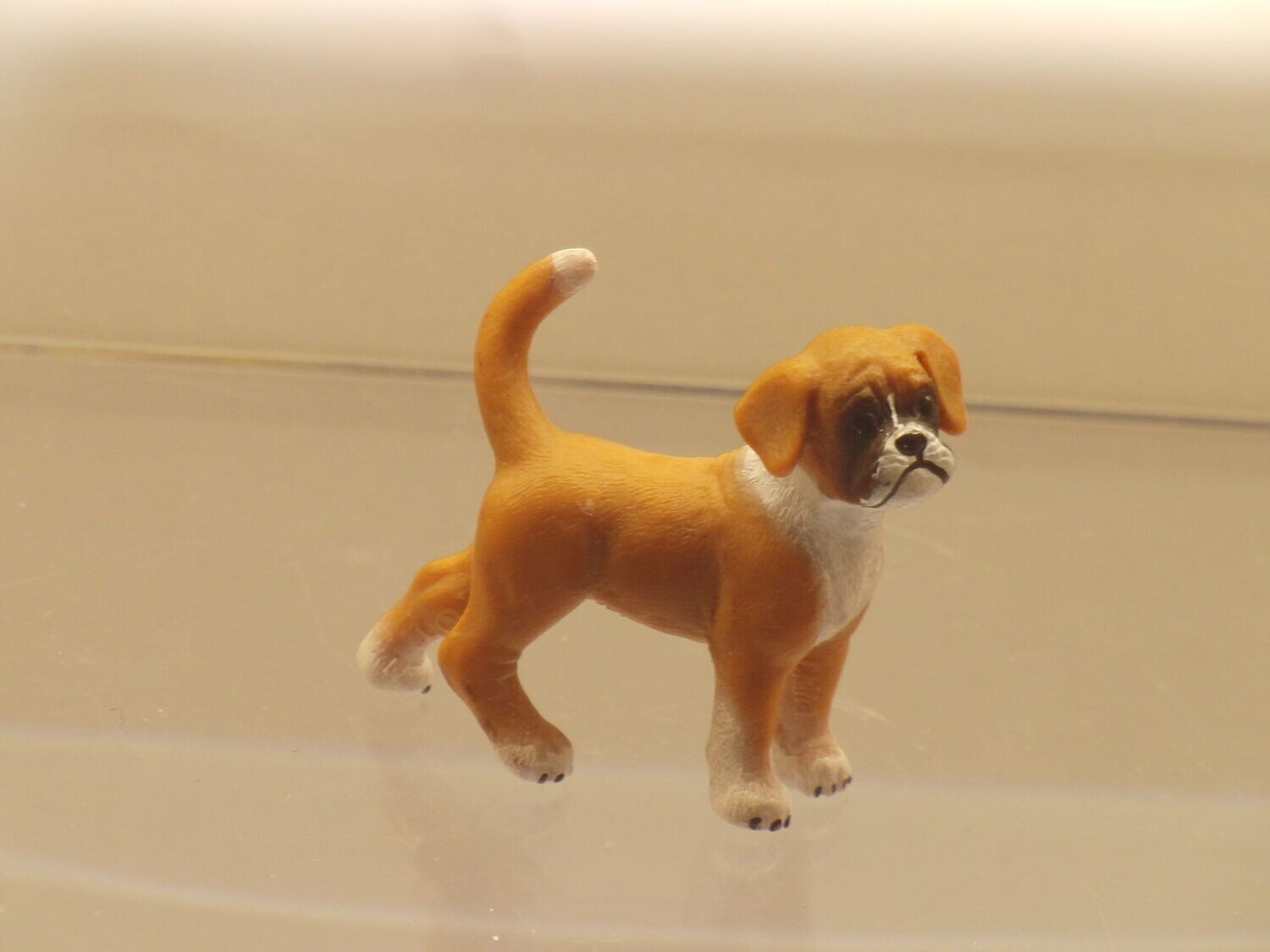 Schleich: 16391 Boxer Welpe Schleich: 16391 Boxer Welpe