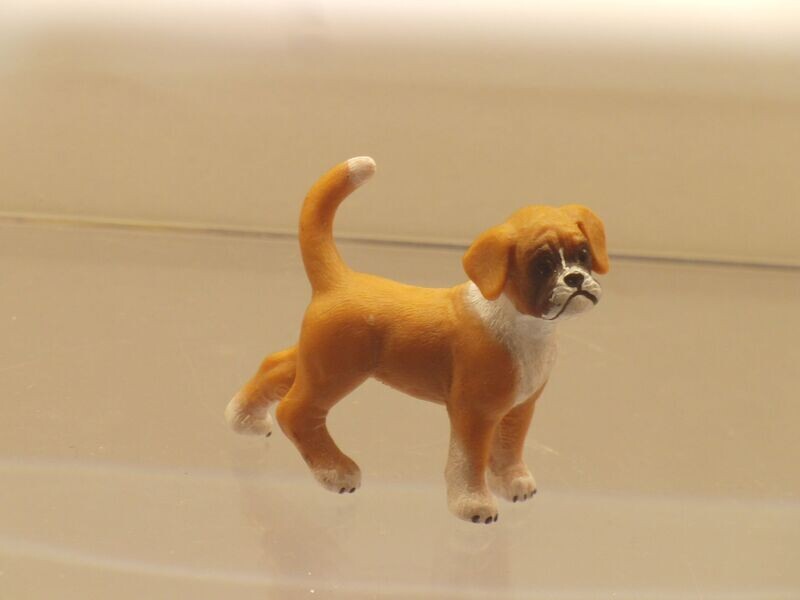 Schleich: 16391 Boxer Welpe Schleich: 16391 Boxer Welpe