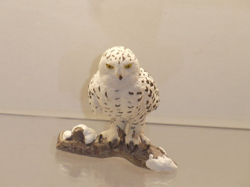 Schleich: 14671 Schnee-Eule Schleich: 14671 Schnee-Eule
