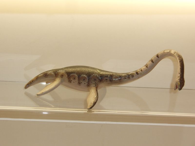 Schleich: Carnegie Collection: 15419 Elasmosaurus Schleich: Carnegie Collection: 15419 Elasmosaurus