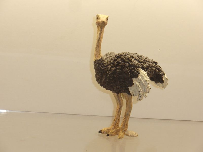 Schleich: 14744 Strauß Schleich: 14744 Strauß