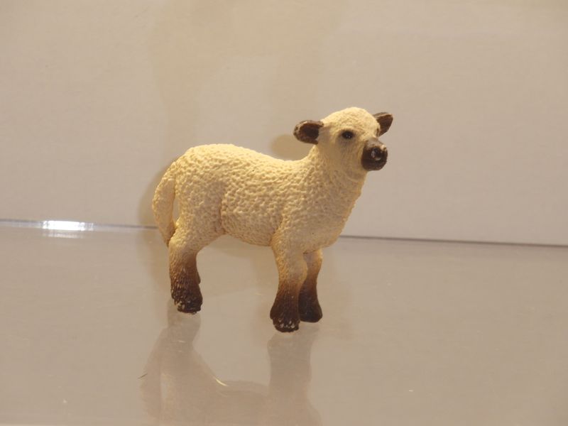 Schleich: 13681 Shropshire Schäfchen