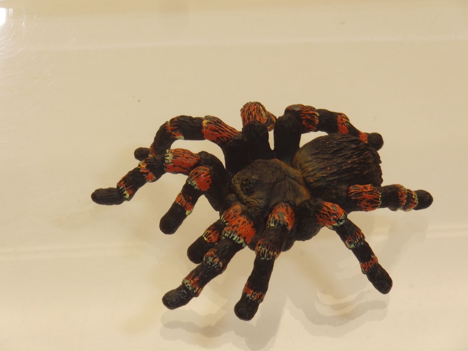 Schleich: 14829 Vogelspinne Schleich: 14829 Vogelspinne