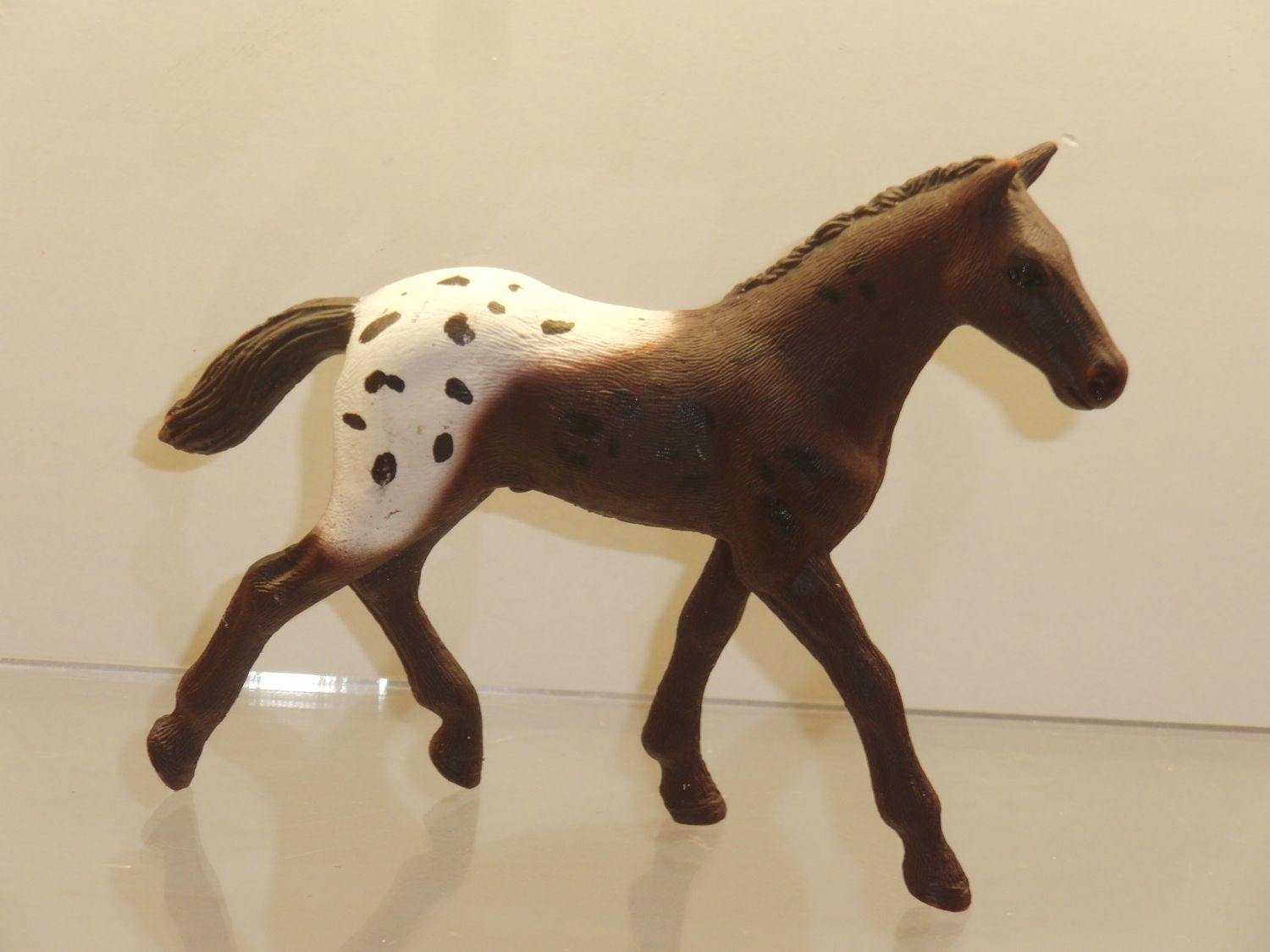 Schleich: Apaloosa Fohlen 2017 aus Heft Schleich: Apaloosa Fohlen 2017 aus Heft