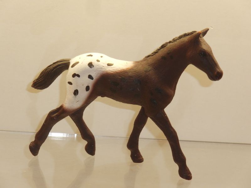 Schleich: Apaloosa Fohlen 2017 aus Heft Schleich: Apaloosa Fohlen 2017 aus Heft