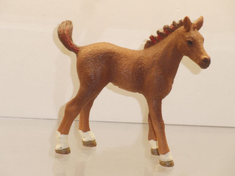 Schleich: 82989 Cayenne Als Fohlen Schleich: 82989 Cayenne Als Fohlen