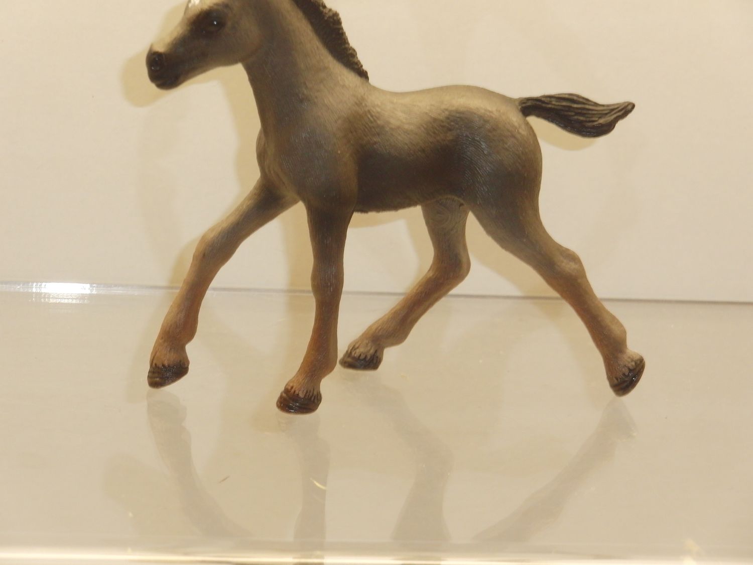 Schleich: 10166509 Fohlen Pferd Cheval de Selle Francais Fohlen Schleich: 10166509 Fohlen Pferd Cheval de Selle Francais Fohlen