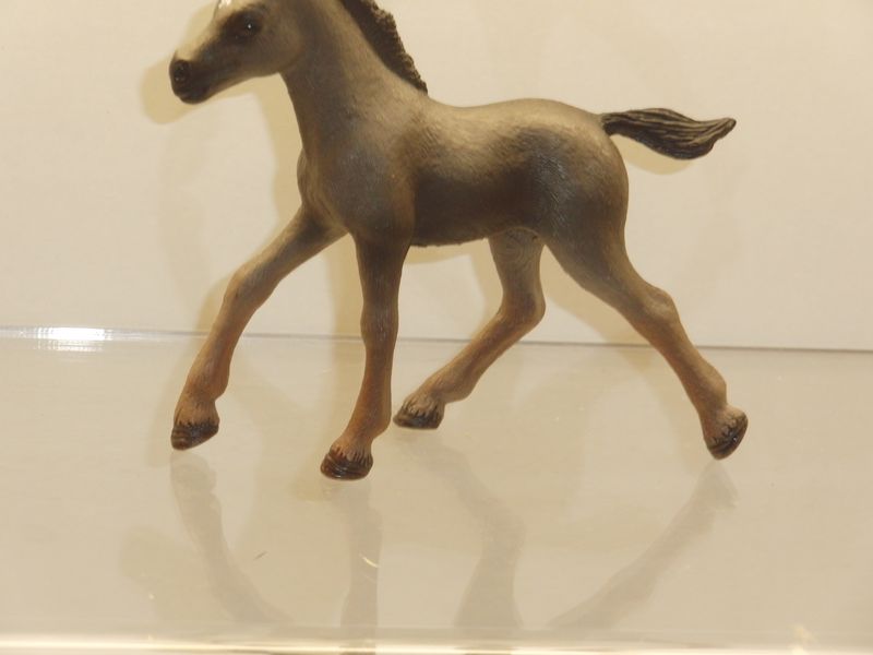 Schleich: 10166509 Fohlen Pferd Cheval de Selle Francais Fohlen Schleich: 10166509 Fohlen Pferd Cheval de Selle Francais Fohlen