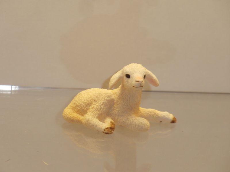 Schleich: 13745 Schäfchen liegend Schleich: 13745 Schäfchen liegend