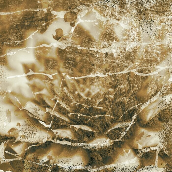 Abstract15