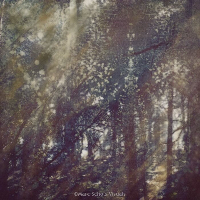AbstractForest