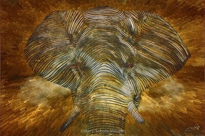Elephant1
