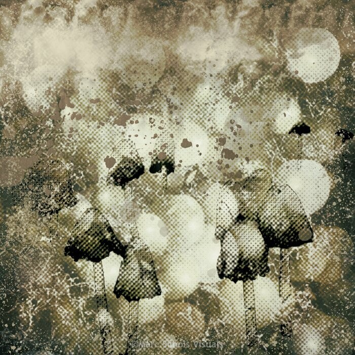 Mushrooms