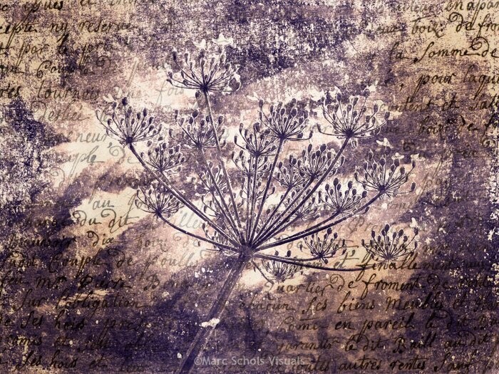 Flower07