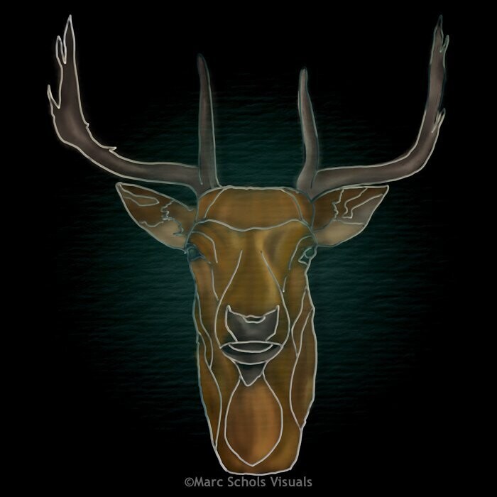 DeerToo