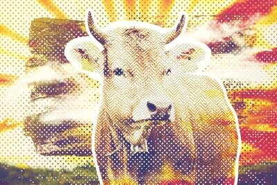 ColorfulCow