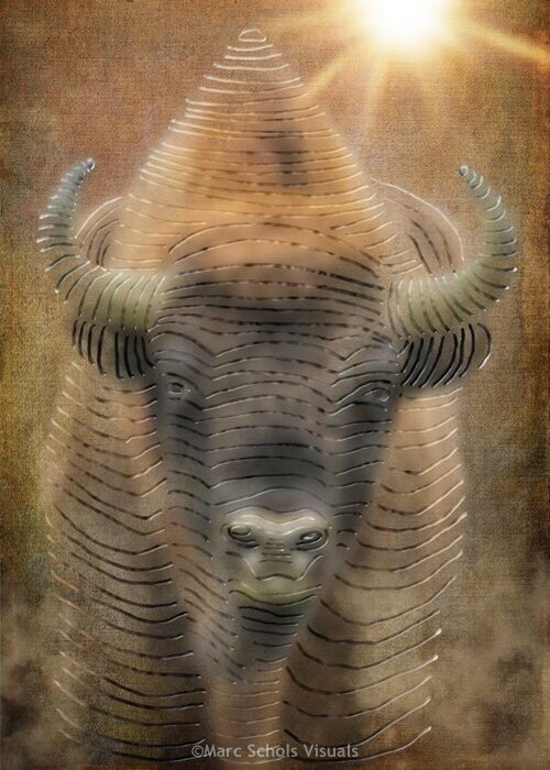 Bison1
