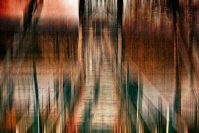 Abstract21