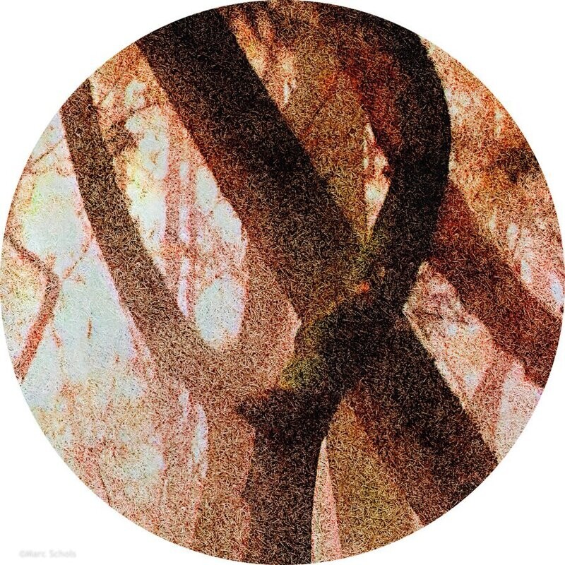 Forest02R