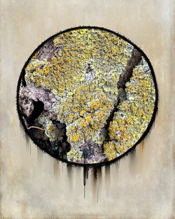 Abstracttree