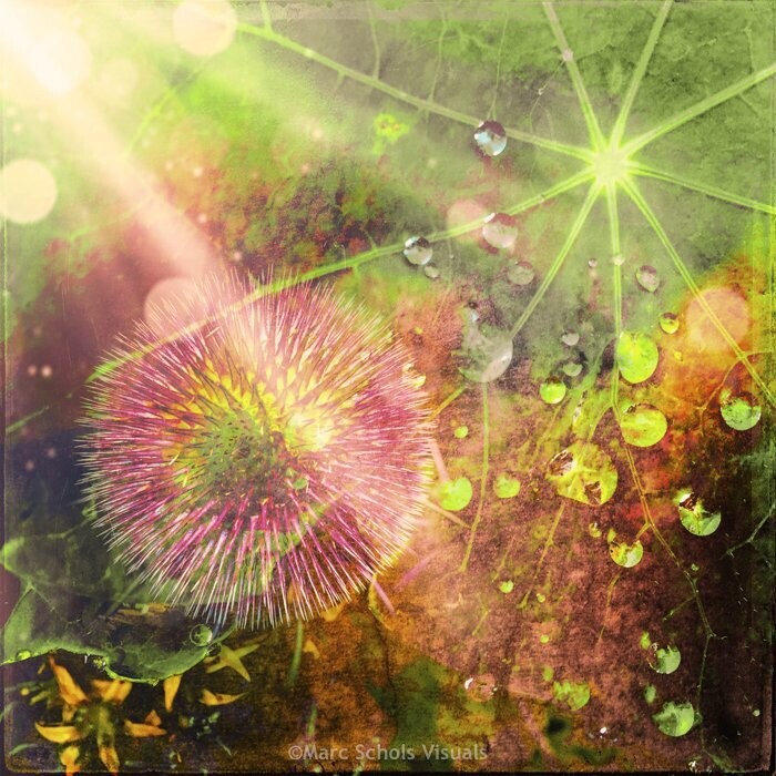 Abstract08