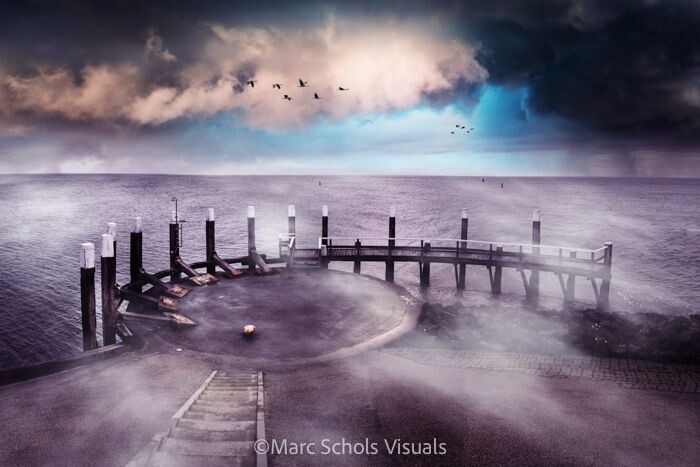 MCM_Texel_Kraanvogel