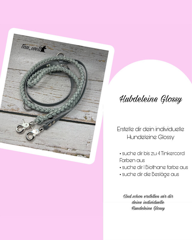 Hundeleine ‚Mix Paracord Biothane‘