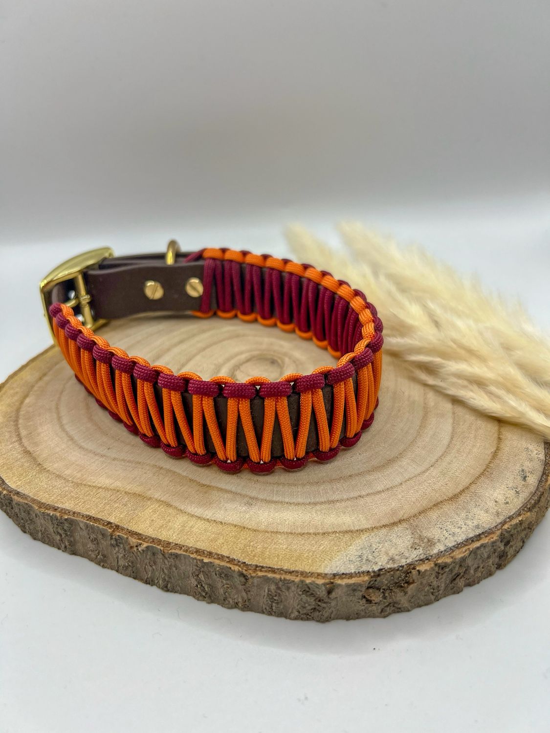 Halsband Biothane mix Paracord