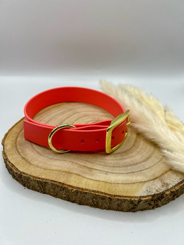 Biothane Halsband