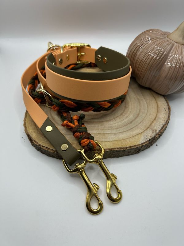 Herbst Set Biothane x Paracord