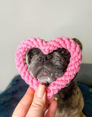 Hundespielzeug
