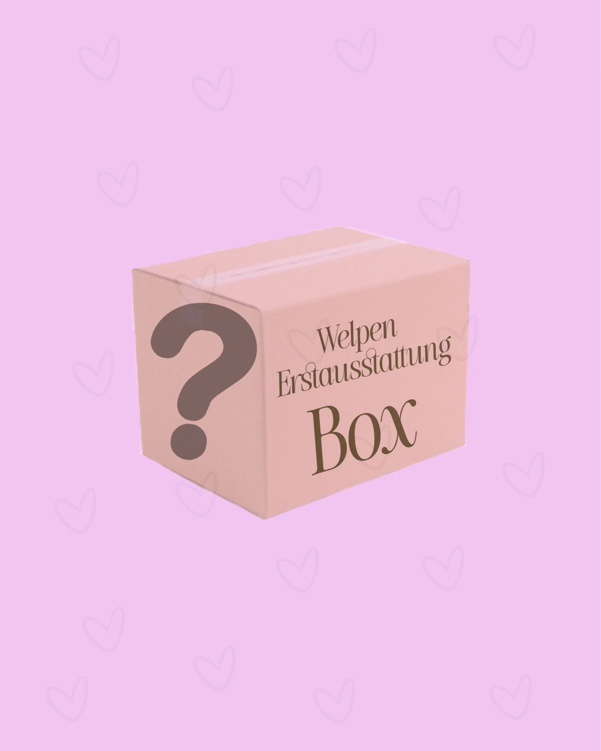 Welpen Box (Erstausstattung)
