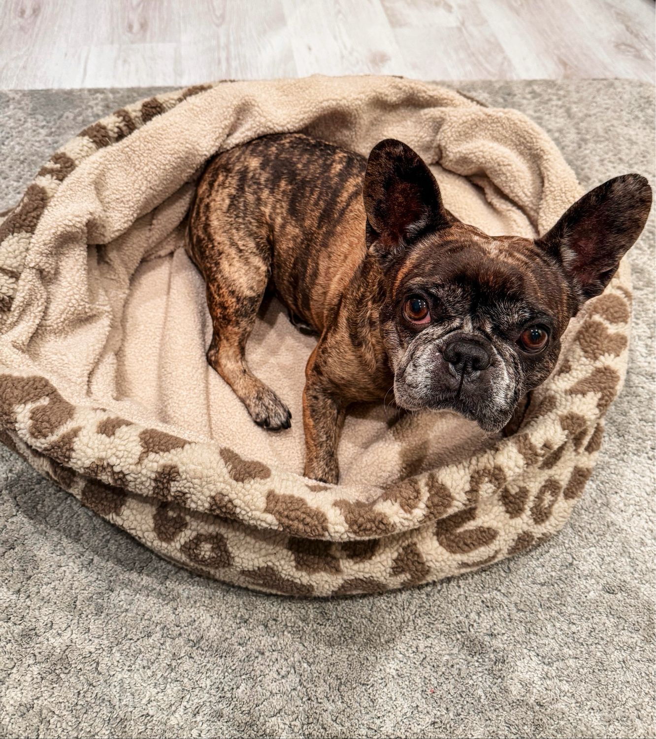 Schlupfsack Beige Leo Schlupfsack Beige Leo