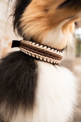 Fellnasen Halsbänder