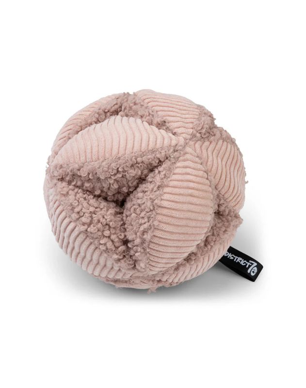 Schnüffelball Bobby Rosa