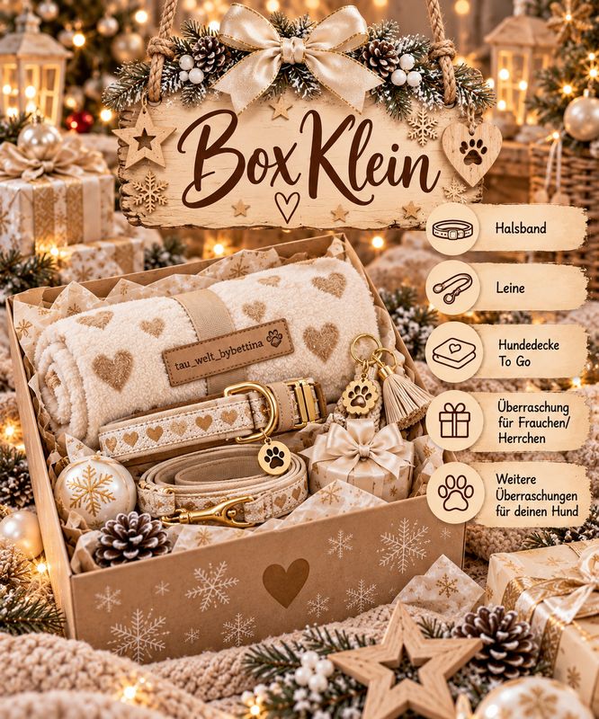 Weihnachtsbox Klein