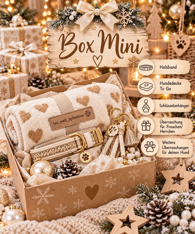 Weihnachtsbox Mini