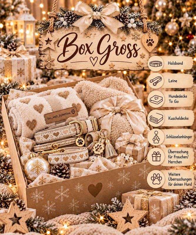 Weihnachtsbox Gross