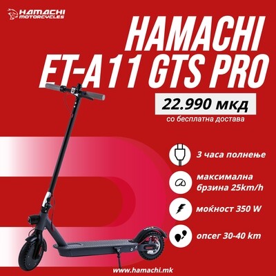 HAMACHI ET-A11 GTS Pro 12A (40 батерии x 3000 mAh)