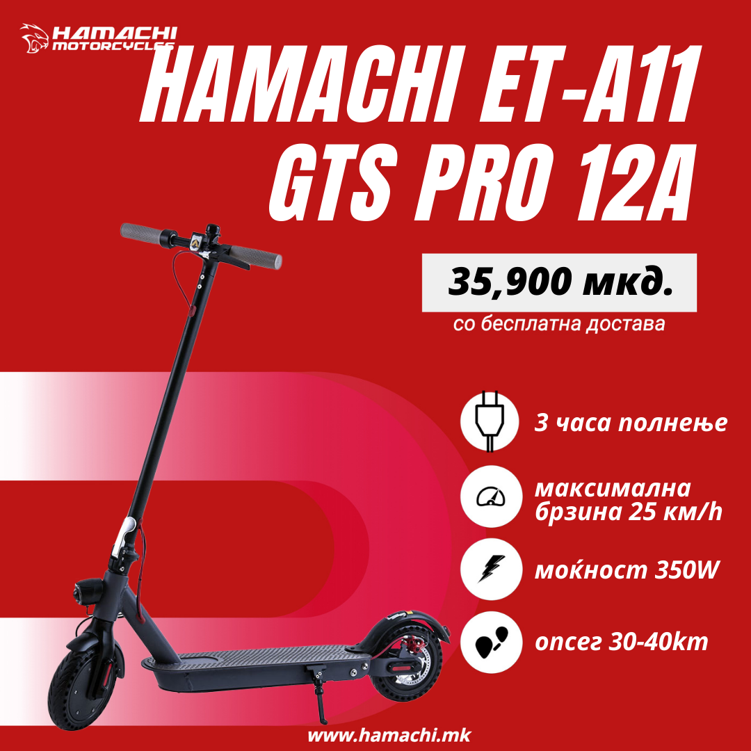 HAMACHI ET-A11 GTS Pro 12A (40 батерии x 3000 mAh)