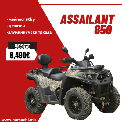 ODES ASSAILANT 850 ATV