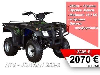 JONWAY ATV 250 - 8