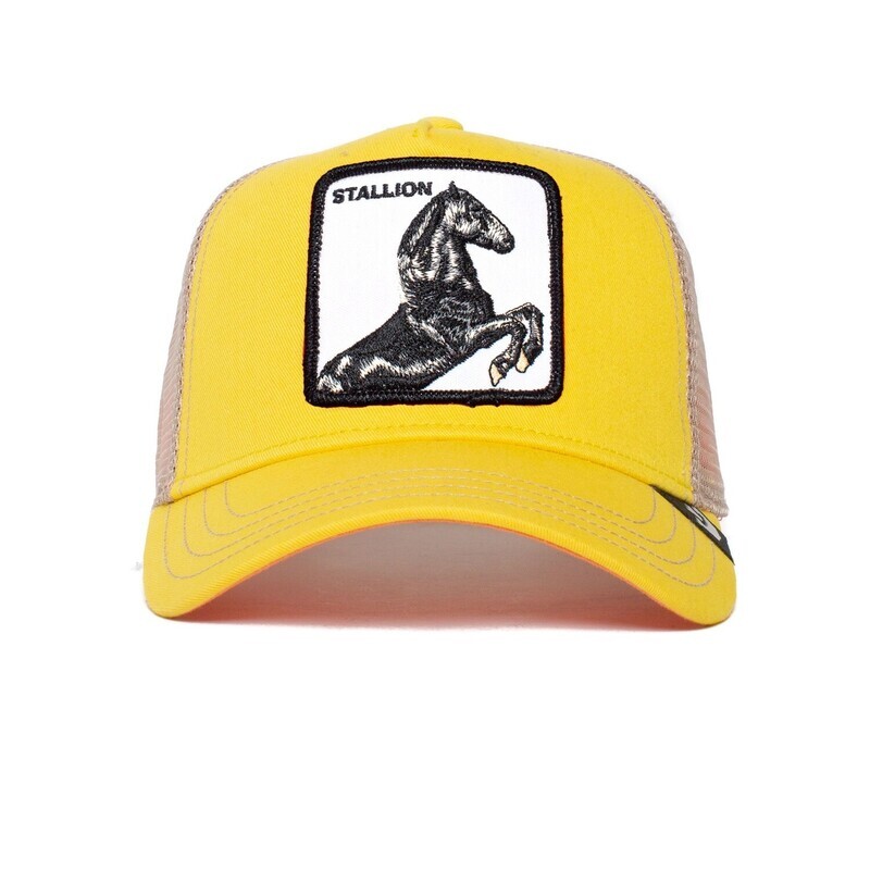 The Stallion Yellow