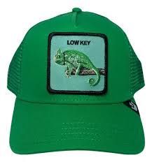 The Low Key Chameleon Green The Low Key Chameleon Green
