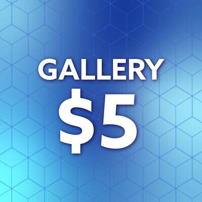 Gallery $5 - May 16th Stephanie Mickelsen