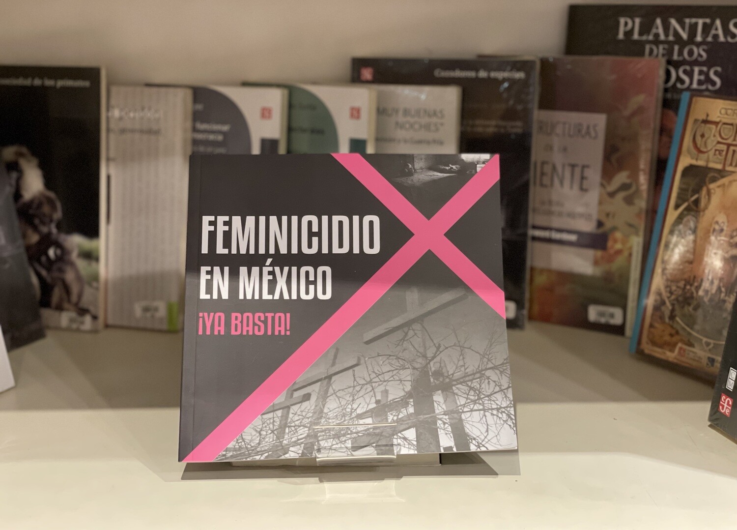 Catálogo Feminicidio