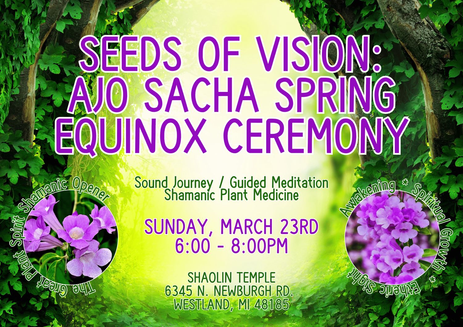 Seeds of Vision - Sunday, March 23rd @ Shaolin Temple