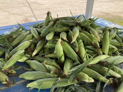 Summer Produce