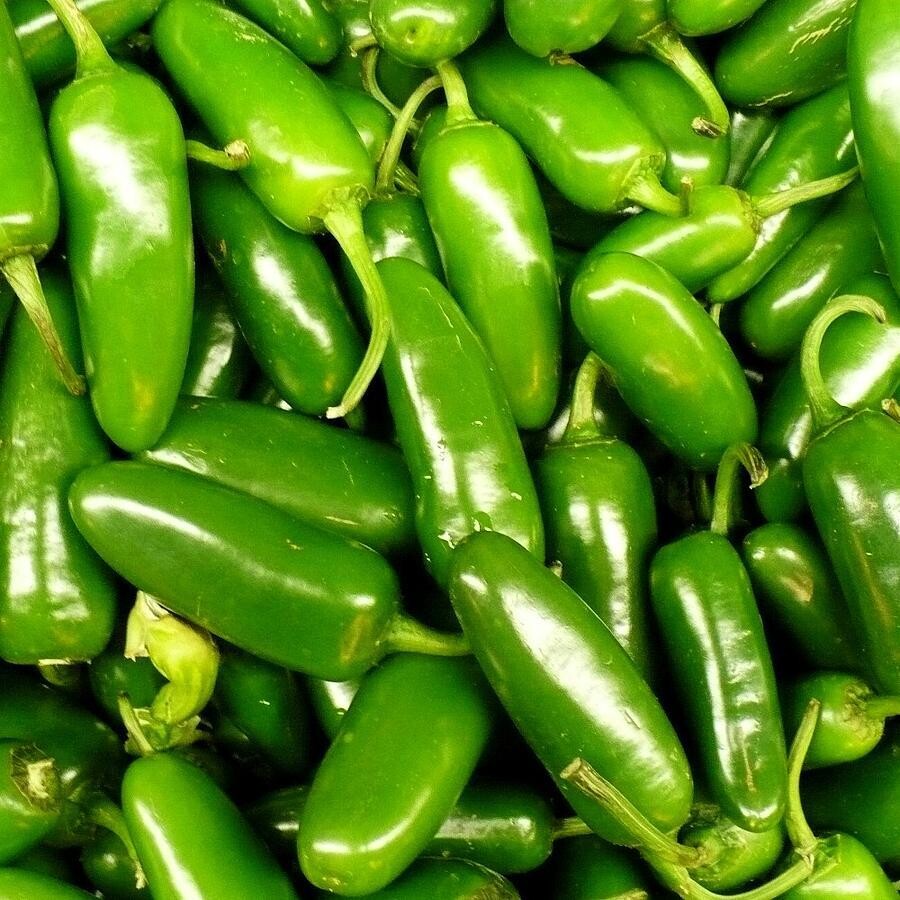Jalapeno Peppers