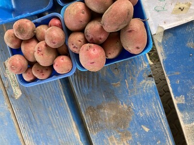 Salad - Red potatoes